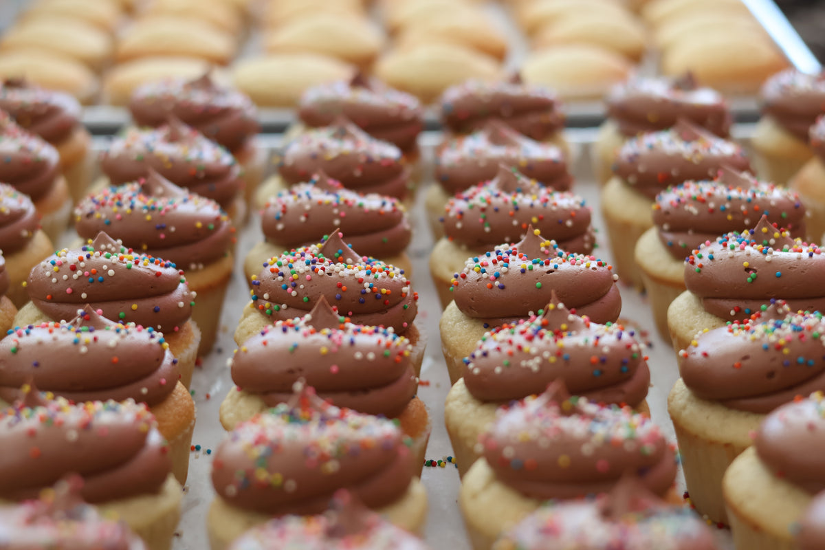 Freshly baked cupcakes with chocolate frosting arranged in rows