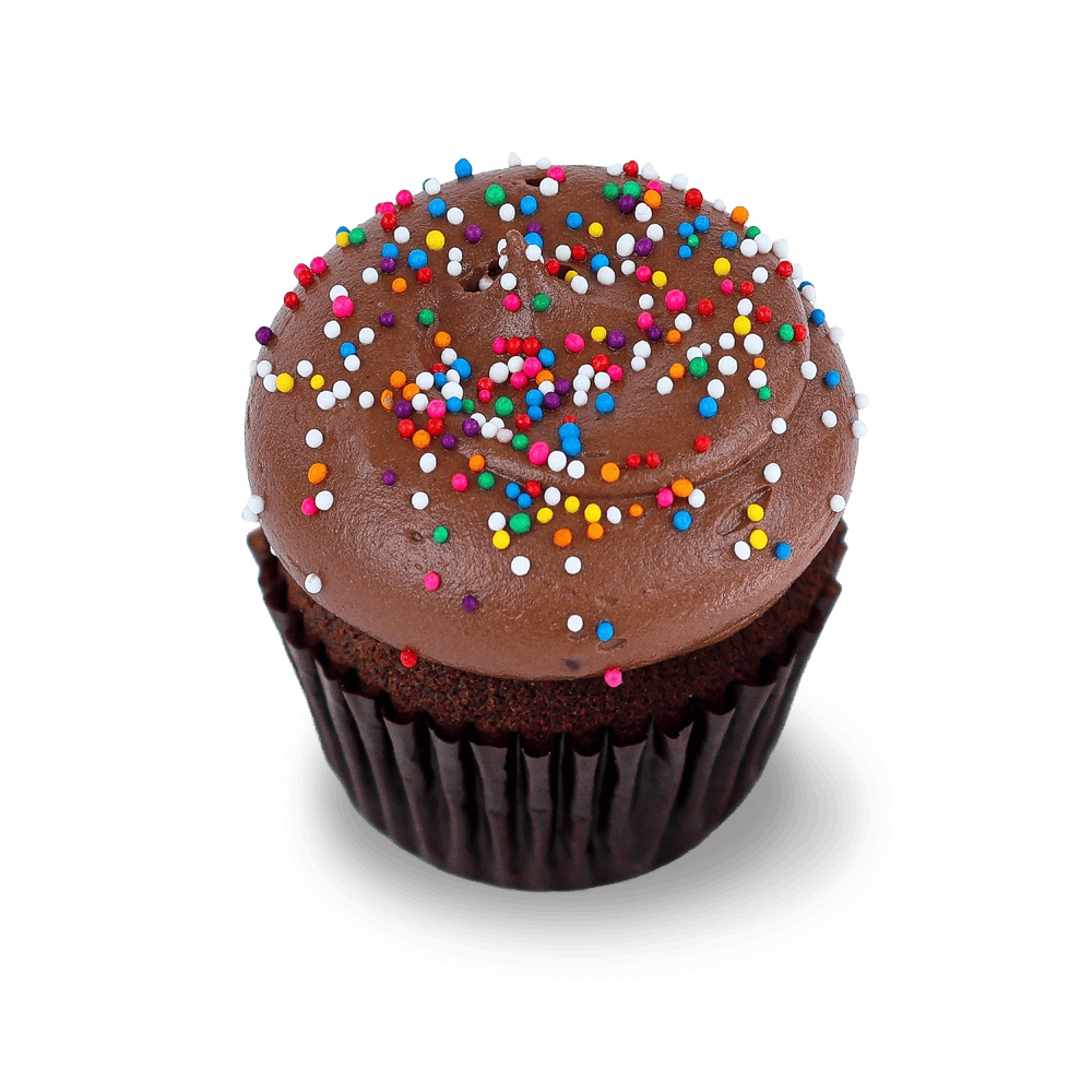 Chocolate cupcake with sprinkles