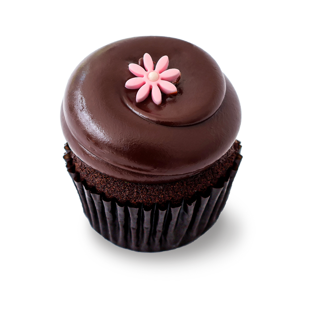 Chocolate cupcake with chocolate frosting and flower decoration