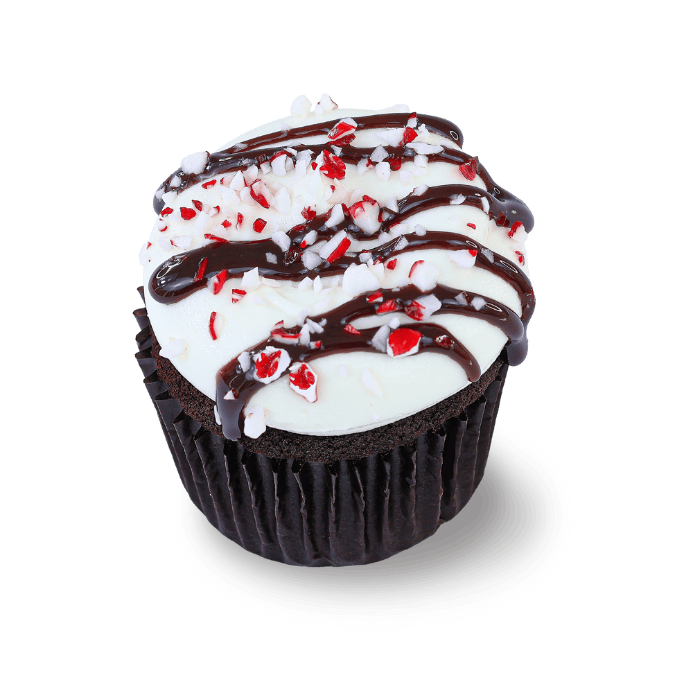 Chocolate peppermint cupcake with crushed peppermint