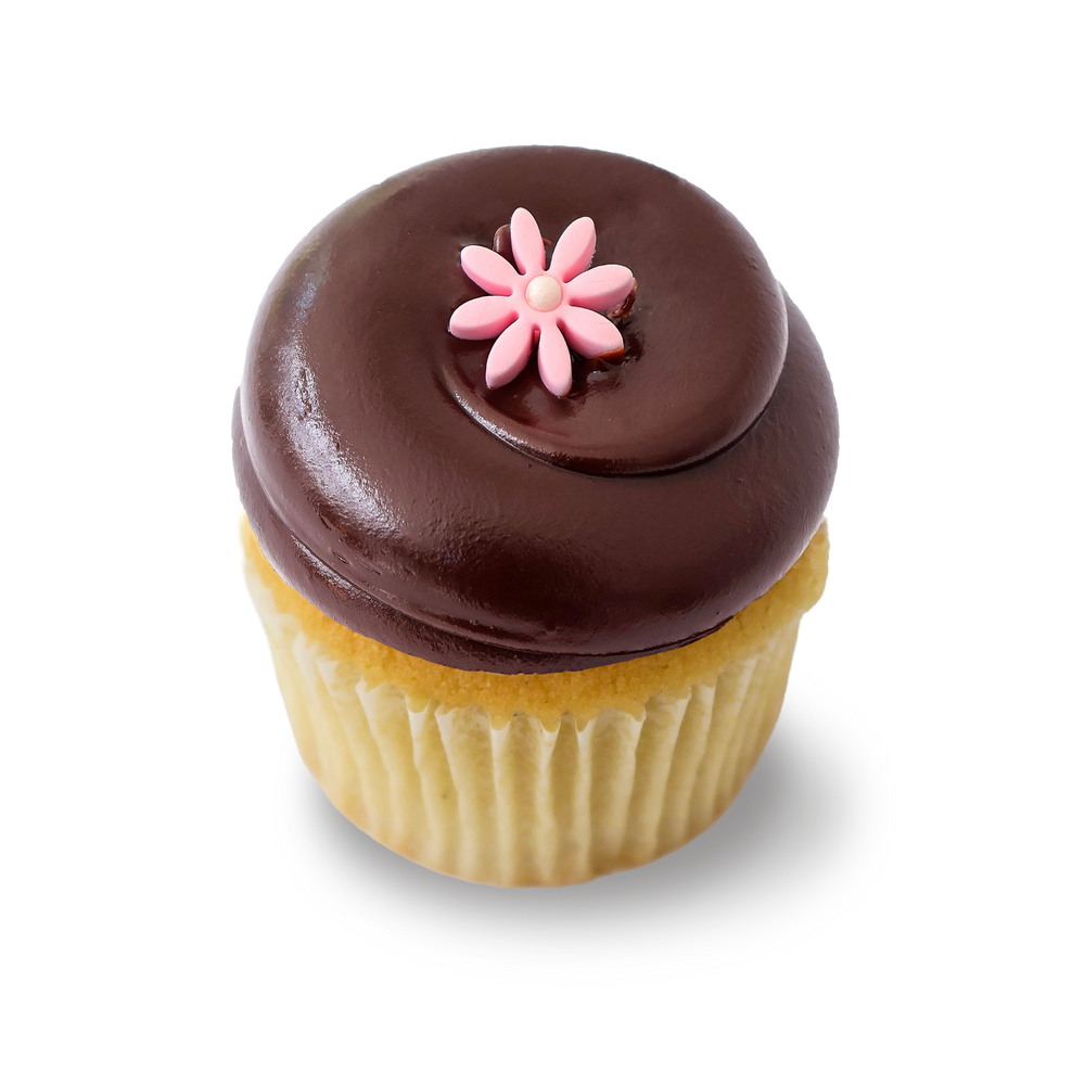 Vanilla cupcake with chocolate frosting and flower