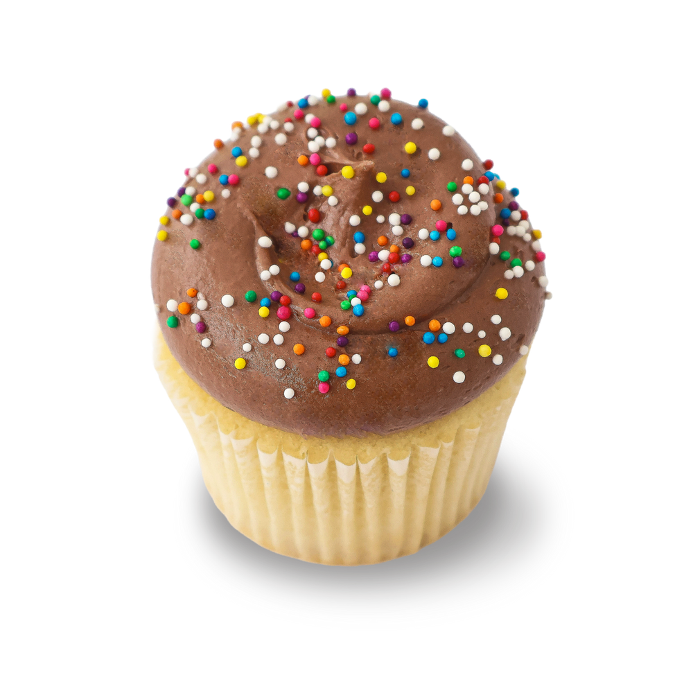 Vanilla cupcake with chocolate frosting and sprinkles
