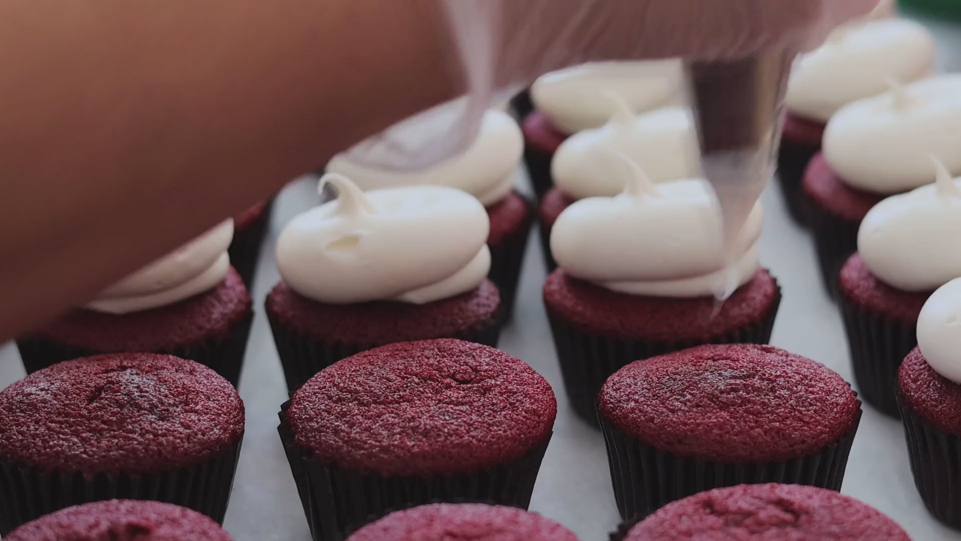Baker piping pink and white swirl frosting onto strawberry vanilla cupcakes