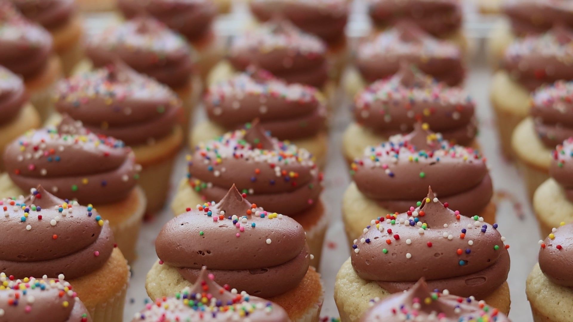 Rows of vanilla cupcakes topped with chocolate frosting and rainbow sprinkles