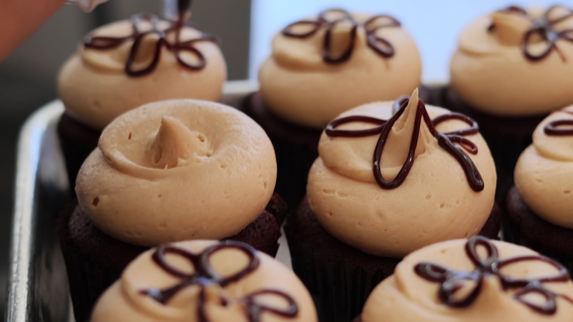 Georgetown Cupcake thank you cupcakes